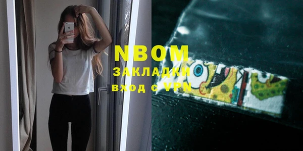 шишки Киренск