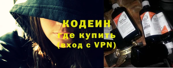 молекула духа Каменка