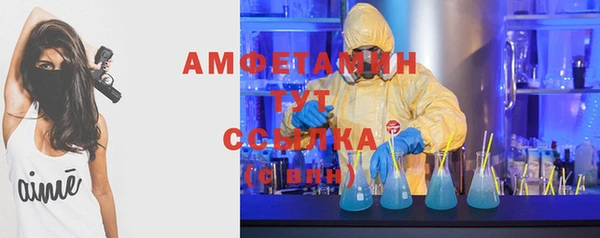 молекула духа Каменка