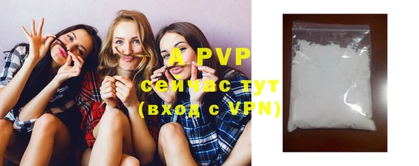 стаф Инсар