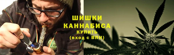 шишки Киренск