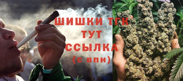 ПСИЛОЦИБИНОВЫЕ ГРИБЫ Каменногорск
