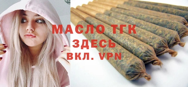 молекула духа Каменка