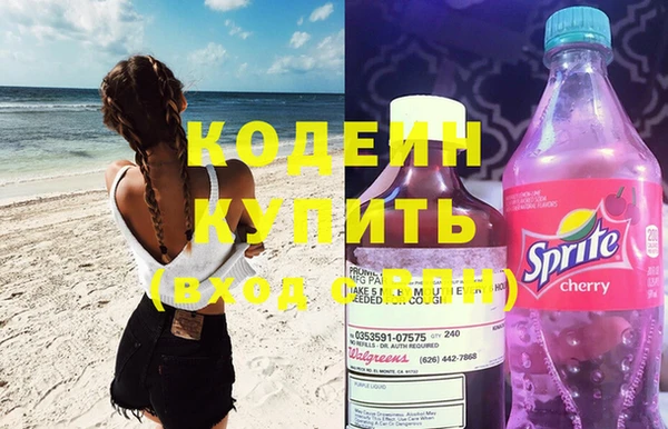 молекула духа Каменка