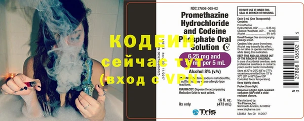 молекула духа Каменка