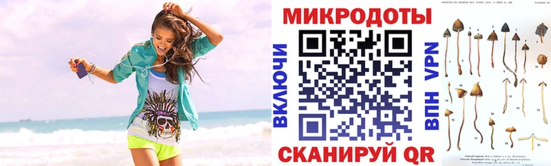 Купить где  Грязовец  Псилоцибиновые грибы мухоморы 